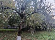 Satılır  torpaq 11.6 sot, photo 3 from 8