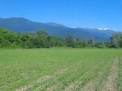 İcarəyə verilir  torpaq 850 sot, photo 6 from 7