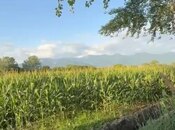 İcarəyə verilir  torpaq 850 sot, photo 2 from 7