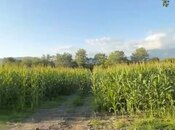 Elan №5992622 - Qax, Qax, 850 sot