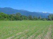 İcarəyə verilir  torpaq 850 sot, photo 7 from 7