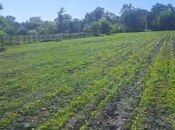 İcarəyə verilir  torpaq 850 sot, photo 4 from 7