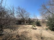 Продаётся  участок 3 сот, пос. Сарай, photo 4 from 7