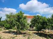 Satılır  torpaq 4 sot, Bilgəh q., photo 3 from 5