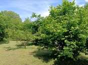 İcarəyə verilir 4 otaqlı həyət evi/bağ evi 140 m², photo 3 from 8