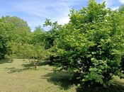 Elan №5993246 - Qəbələ, Qəbələ, 4 otaqlı, 140 m²