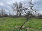 Elan №5993319 - Qəbələ, Qəbələ, 14 sot