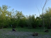 Elan №5994038 - Qəbələ, Qəbələ, 24 sot