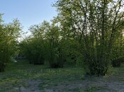 Satılır  torpaq 24 sot, photo 5 from 7