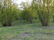 Satılır  torpaq 24 sot, photo 4 from 7