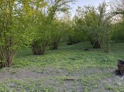 Satılır  torpaq 24 sot, photo 3 from 7