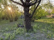 Satılır  torpaq 24 sot, photo 6 from 7