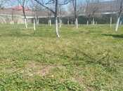 Elan №5994168 - Qəbələ, Qəbələ, 10 sot