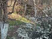 Объявление №5994187 - Баку, пос. Горадил, 5 сот