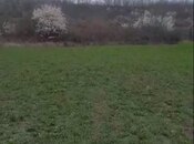 Объявление №5994228 - Исмаиллы, Исмаиллы, 15 сот