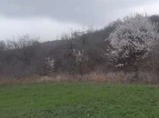 Продаётся  участок 15 сот, photo 7 from 7