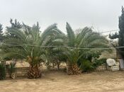 Satılır 6 otaqlı həyət evi/bağ evi 190 m², photo 7 from 8