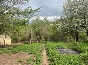 Satılır  torpaq 40 sot, photo 8 from 8