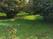 Satılır  torpaq 20 sot, photo 2 from 8