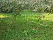 Satılır  torpaq 20 sot, photo 5 from 8