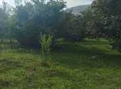 Satılır  torpaq 20 sot, photo 3 from 8