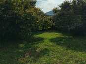 Satılır  torpaq 20 sot, photo 6 from 8