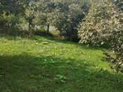 Satılır  torpaq 20 sot, photo 8 from 8