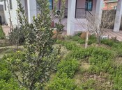 Satılır 3 otaqlı həyət evi/bağ evi 100 m², photo 3 from 8