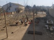 Объявление №5995191 - Баку, пос. Новханы, 8 сот