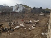 Продаётся  участок 8 сот, пос. Новханы, photo 7 from 7