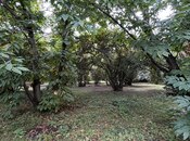 Продаётся  участок 30 сот, photo 3 from 4