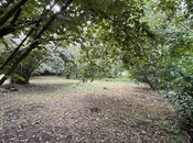 Продаётся  участок 30 сот, photo 4 from 4