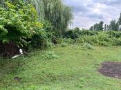 Объявление №5995585 - Исмаиллы, Исмаиллы, 12 сот