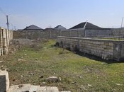 Elan №5995669 - Şabran, Şabran, 156 sot