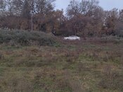 Объявление №5995735 - Хачмаз, Хачмаз, 20 сот