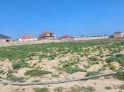 Elan №5996040 - Bakı, Binə q., 30 sot