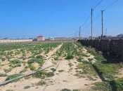 Satılır  torpaq 30 sot, Binə q., photo 2 from 3