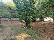 Satılır  obyekt 2 200 m², Nabran r., photo 5 from 8