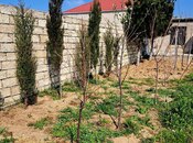 Satılır  torpaq 5.6 sot, Albalılıq q., photo 7 from 8