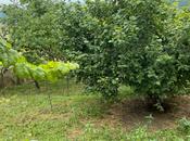 Satılır 3 otaqlı həyət evi/bağ evi 80 m², photo 7 from 8