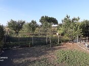 Satılır  torpaq 15 sot, photo 2 from 8