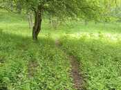 Satılır  torpaq 30 sot, photo 3 from 8