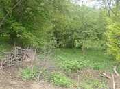 Satılır  torpaq 30 sot, photo 6 from 8