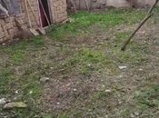 Продаётся 2-комн. дом/дача 55 м², photo 3 from 6