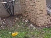 Продаётся 2-комн. дом/дача 55 м², photo 2 from 6