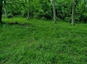 Продаётся  участок 37 сот, photo 8 from 8