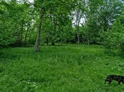 Продаётся  участок 37 сот, photo 7 from 8