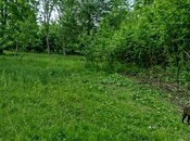 Продаётся  участок 37 сот, photo 6 from 8