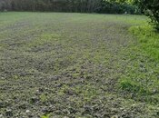 Продаётся  участок 37 сот, photo 4 from 8