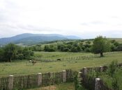 Satılır  torpaq 10 sot, photo 4 from 8